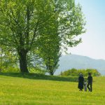 十干 甲の性格 四柱推命で自分の性質を知ろう！