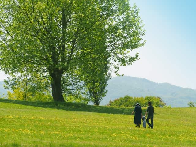 十干 甲の性格 四柱推命で自分の性質を知ろう！