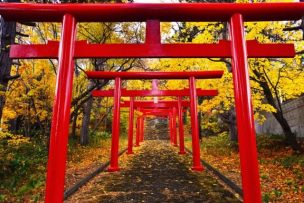 四柱推命占い 星の意味や読み方を学んで自分で占ってみよう!